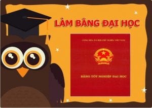 Dịch vụ làm bằng đại học tại Hồ Chí Minh ở đâu uy tín, giá rẻ ?
