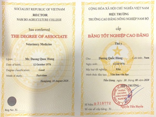 Tăng cường khả năng tuyển dụng với bằng cao đẳng phôi thật từ Làm Bằng Thật 100