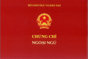 Làm Chứng Chỉ Tiếng Nga Lấy Ngay Tại Làm Bằng Thật 100
