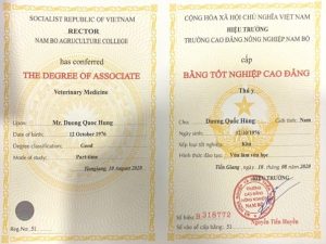 Làm bằng cao đẳng Hà Nội tại Làm Bằng Thật 100 giá bao nhiêu?