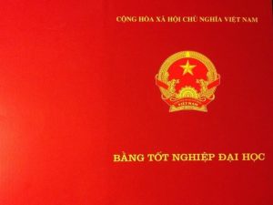 Thủ Tục Làm Lại Bằng Đại Học Bị Mất Mới Nhất Năm 2023