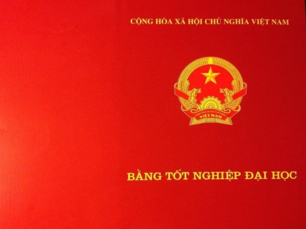 Thủ Tục Làm Lại Bằng Đại Học Bị Mất Mới Nhất Năm 2023