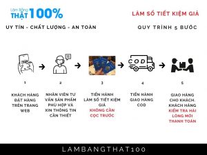 Làm Sổ Tiết Kiệm Giả Tăng Tỉ Lệ Đậu Visa Đi Du Học, Định Cư
