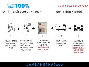 Làm Bằng Lái Xe Ô Tô Phôi Gốc Từ Hạng B1 Đến Hạng F