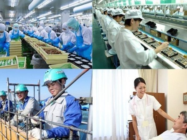 Làm Chứng Chỉ Tiếng Trung Chất Lượng Giống Thật 100%